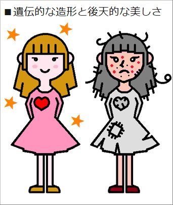 遺伝的な造形と後天的な美しさの図